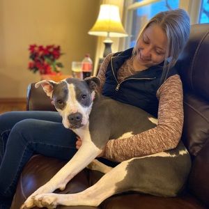 Meet your Posher, Casey